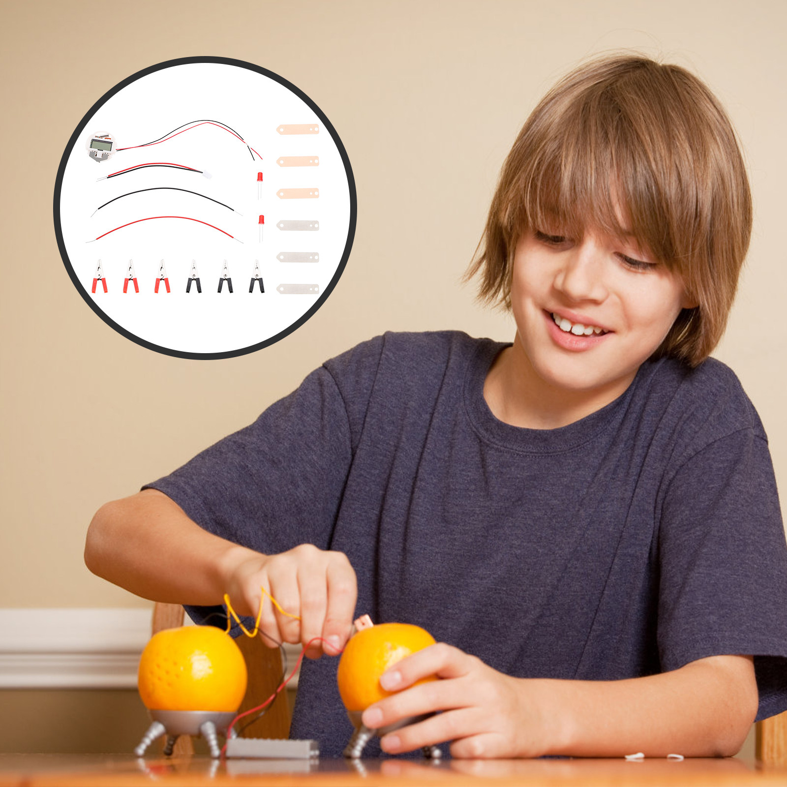 2Sets Fruit Battery Experiment - Science Project Physics recension och pris