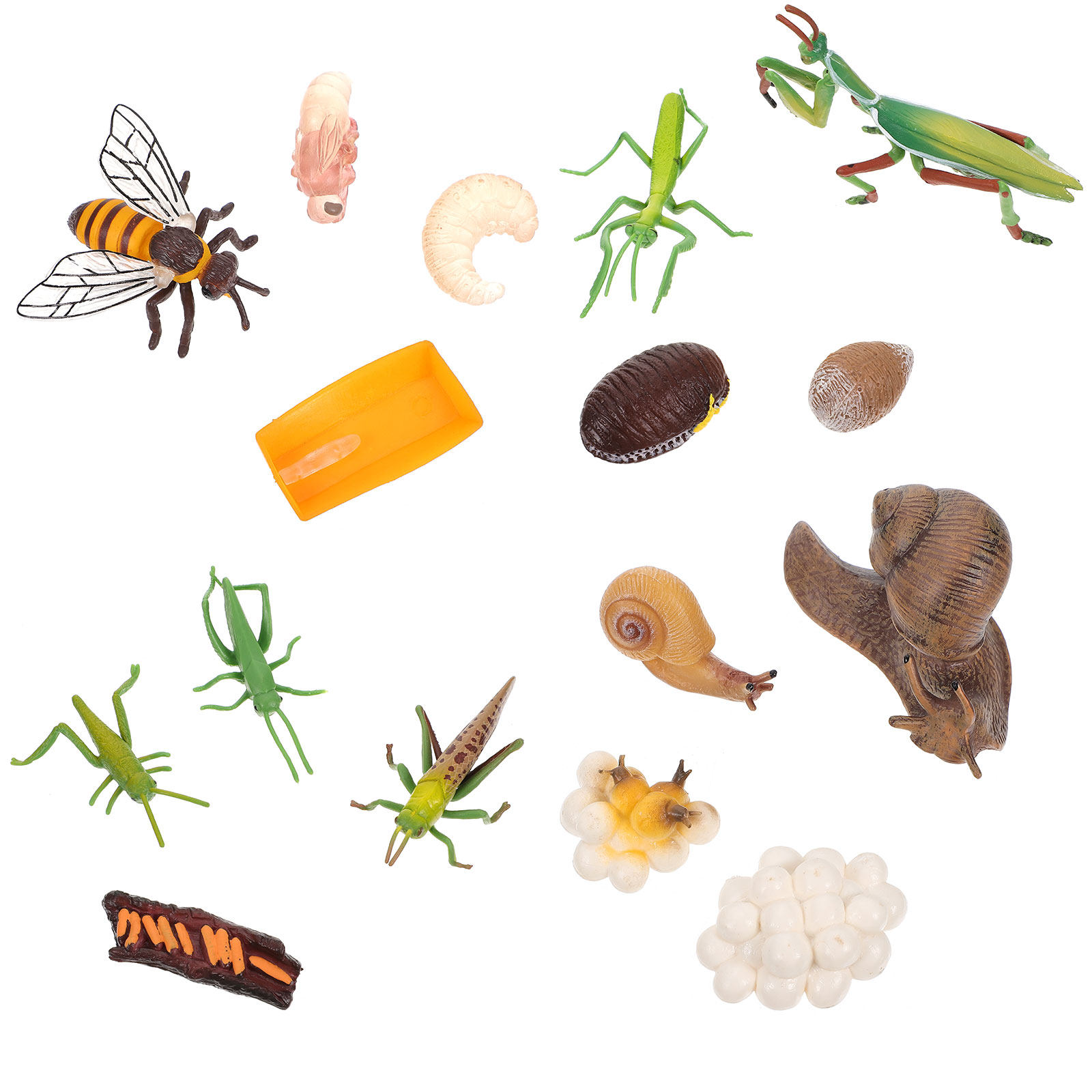 4Sets Insect Development Simul - Science Exhibition Models recension och pris