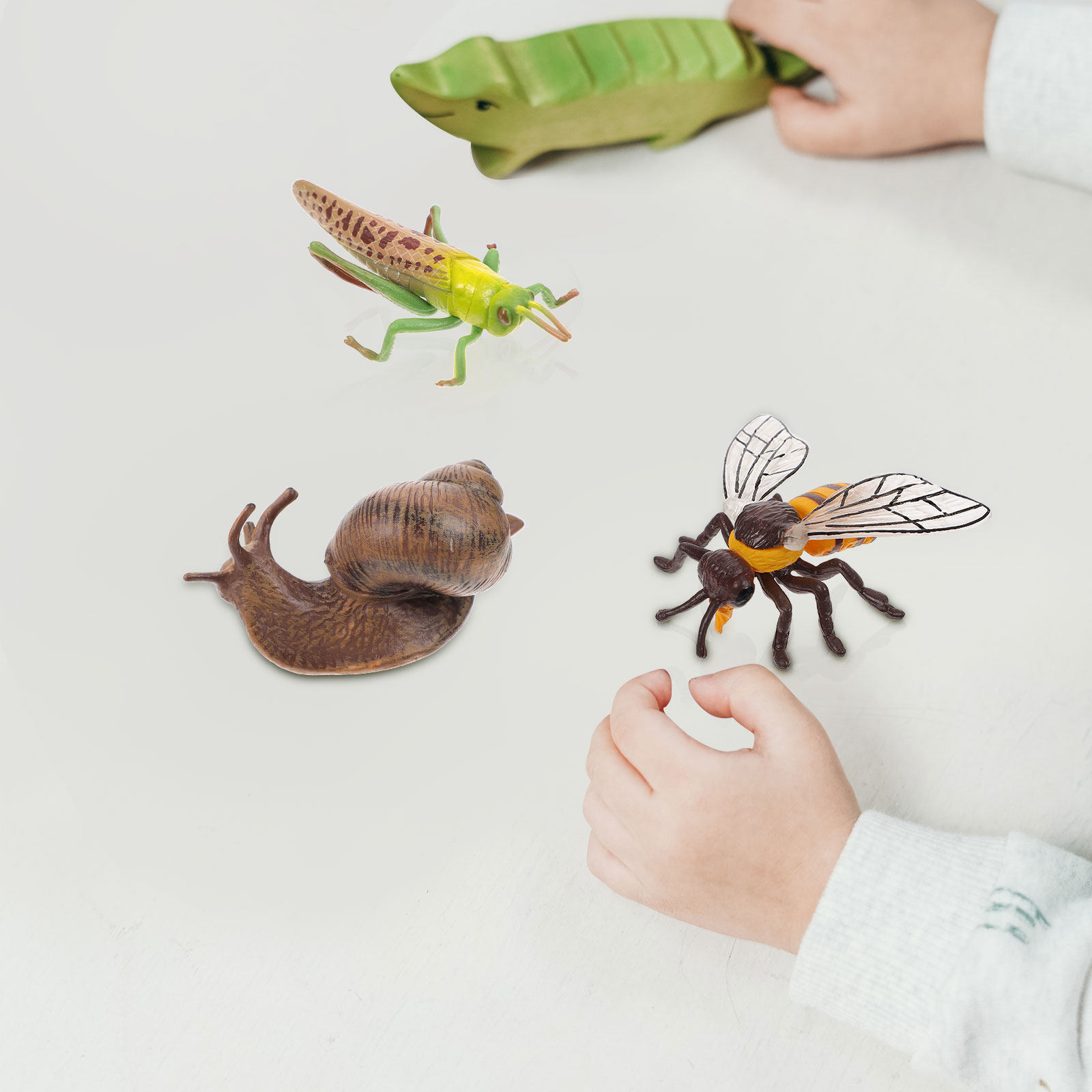 4Sets Insect Development Simul - Science Exhibition Models recension och pris