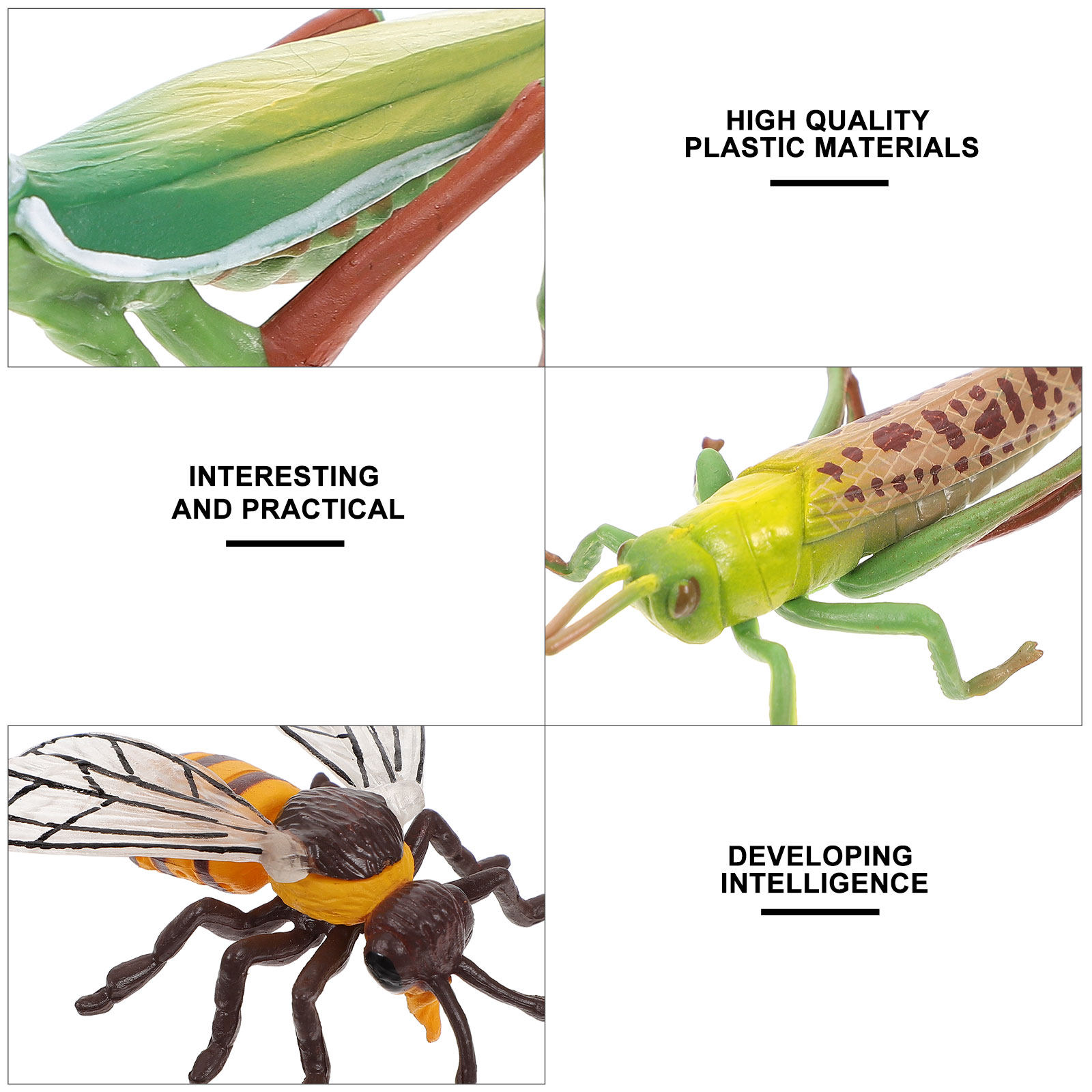 4Sets Insect Development Simul - Science Exhibition Models recension och pris