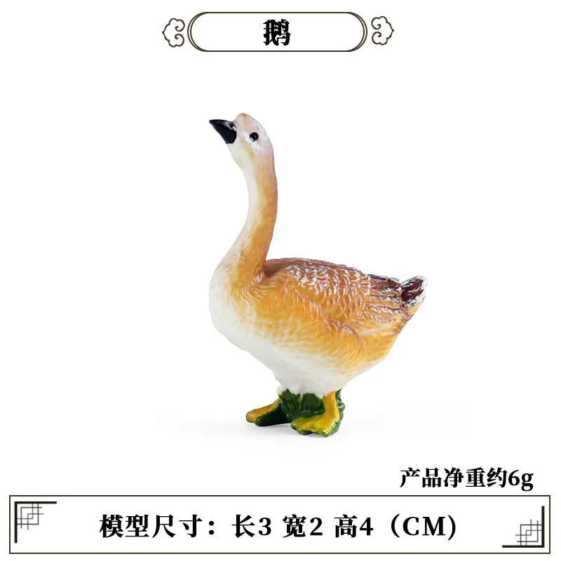 Education Teaching Tool Poultr - Science Toys recension och pris